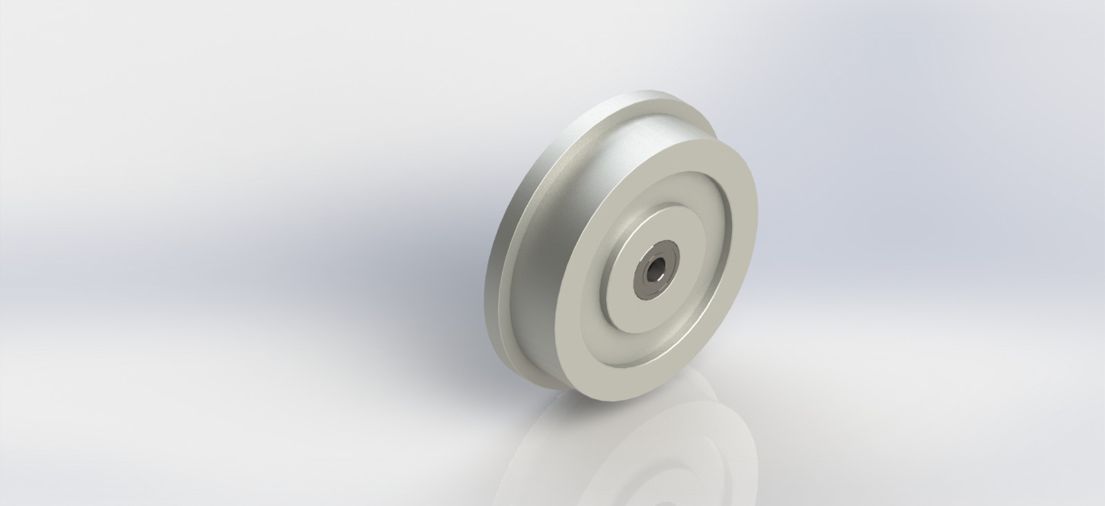 WT30060-S.b2 300x60mm T型单轮（6305轴承 25内孔）